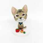 Aangepaste kattenbobblehead uit foto's
