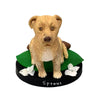 Aangepaste huisdier Bobblehead - bruine hond