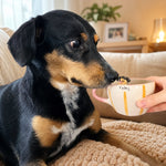 Gepersonaliseerde honden- en kattenkoffiekop met handgemaakt huisdierfiguur